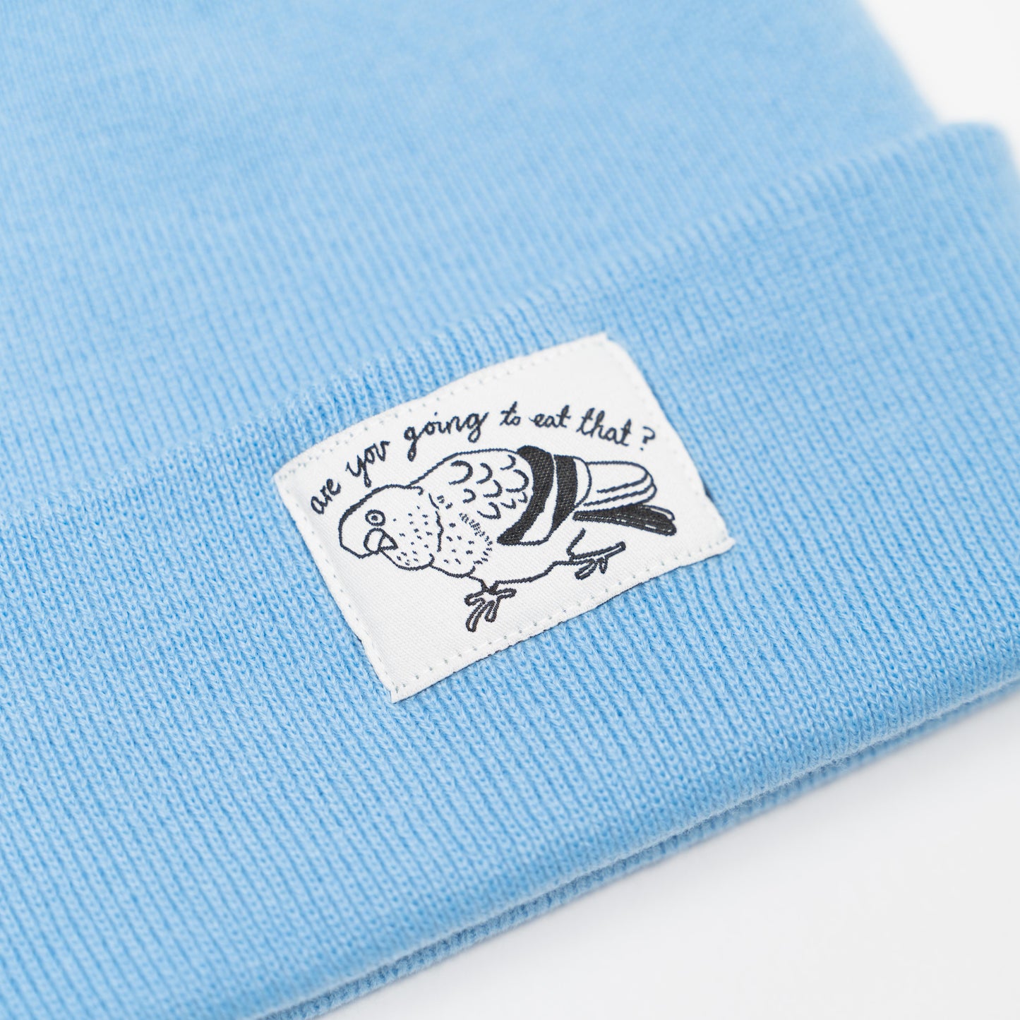PIGEON - Cutesy Blue Beanie