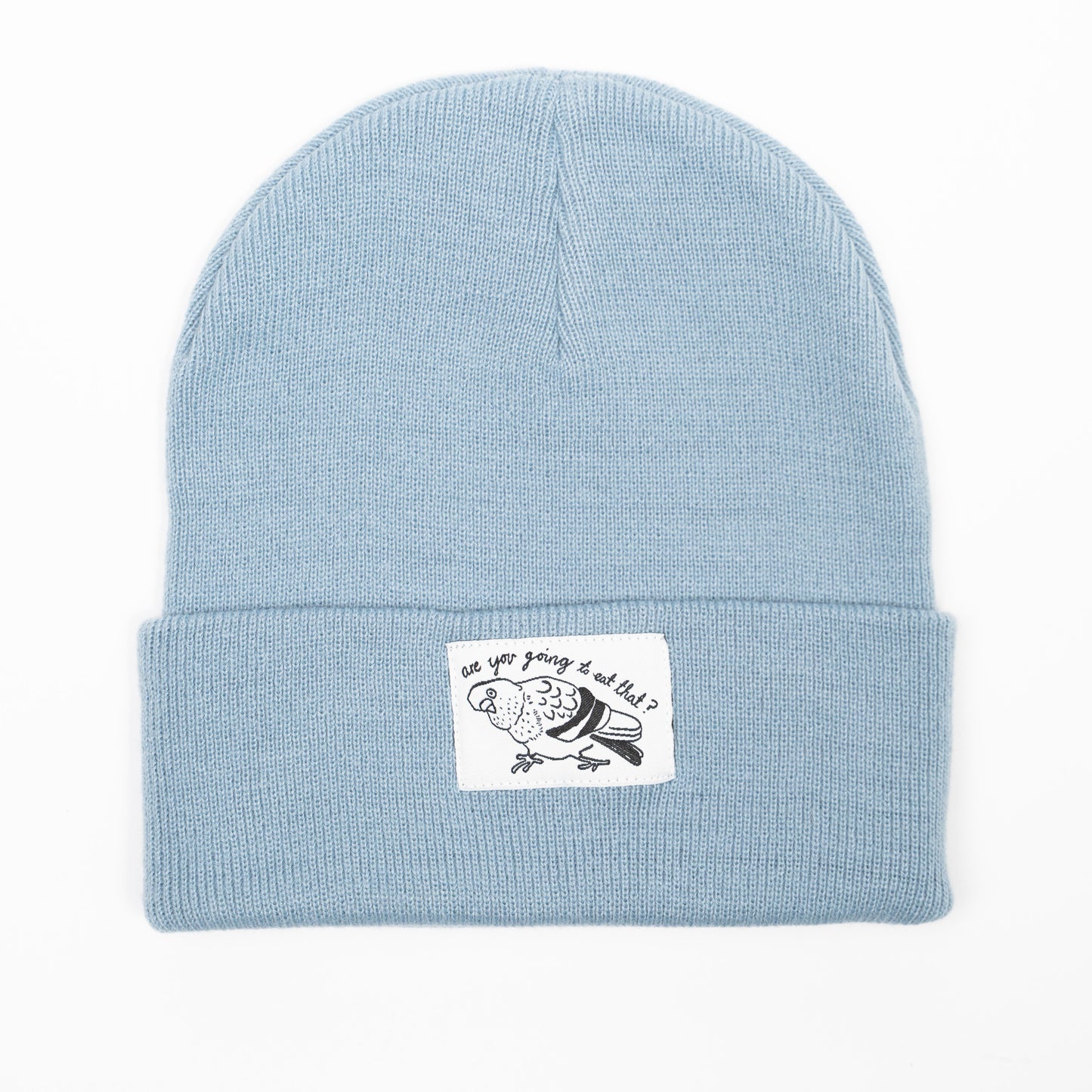 PIGEON - Faded Blue Beanie