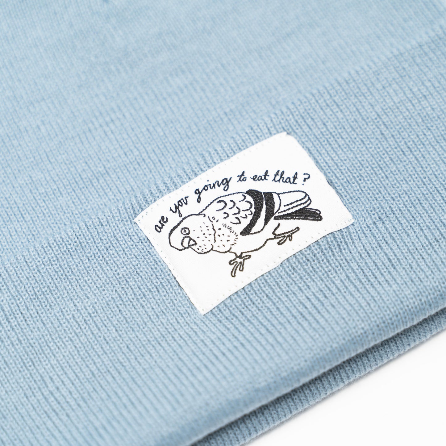 PIGEON - Faded Blue Beanie