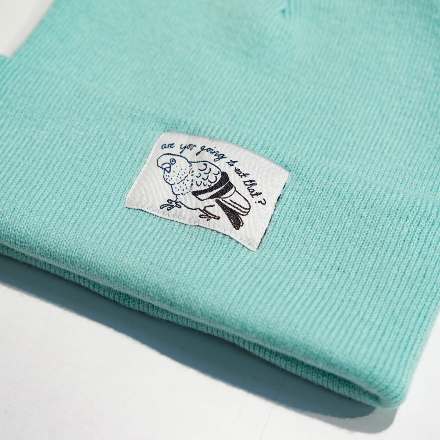 PIGEON - Mint Beanie