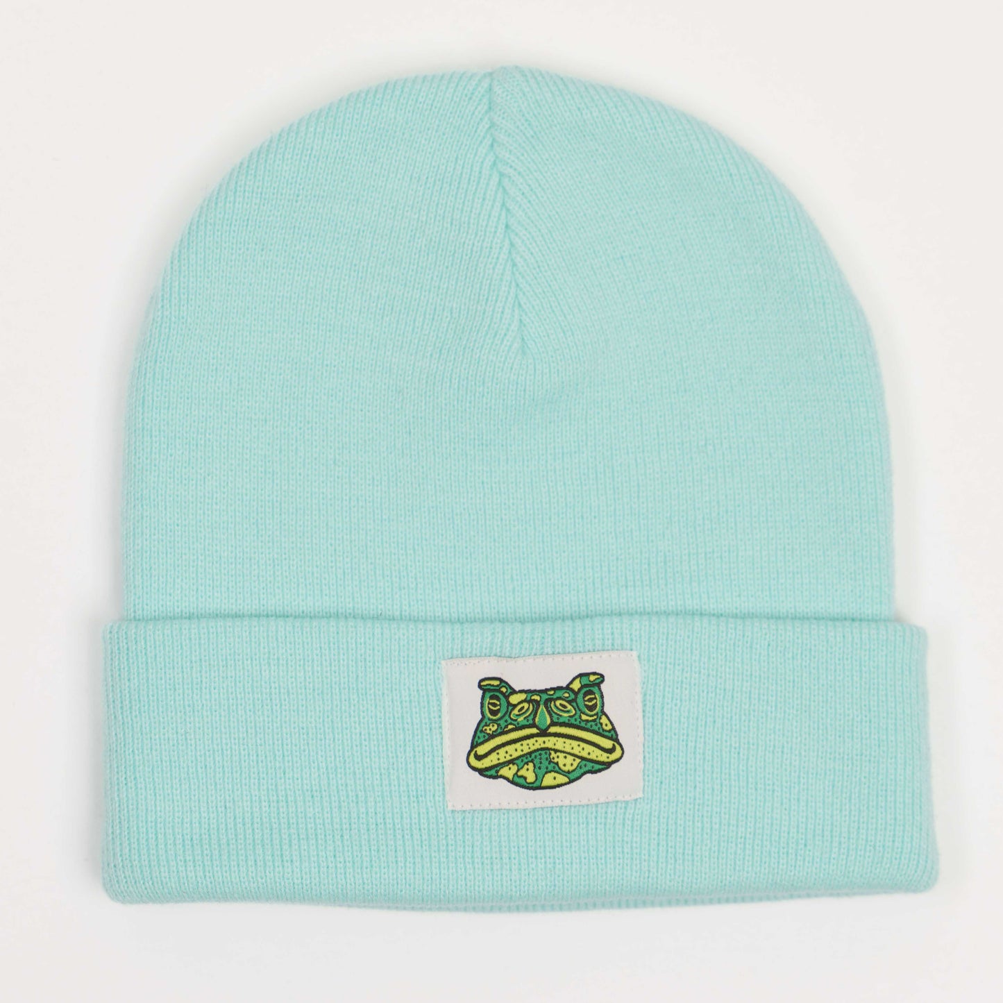 TOAD - Mint Beanie